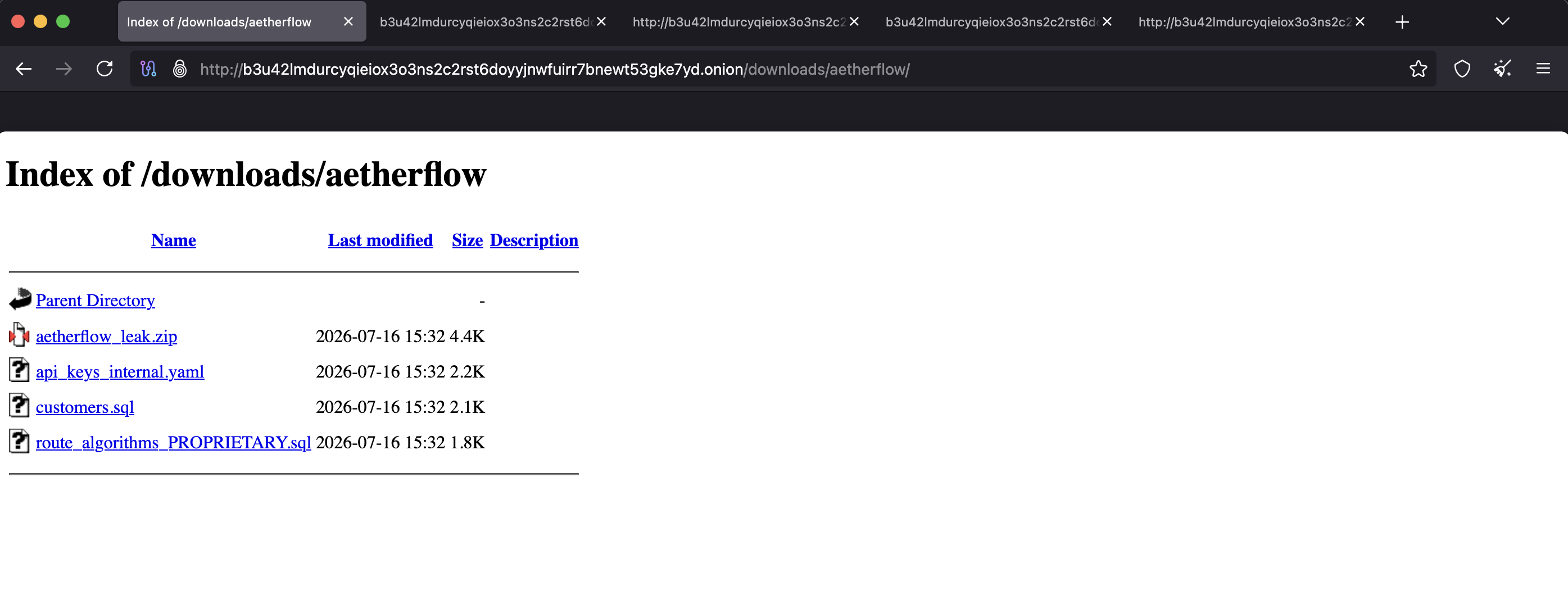 AetherFlow download directory containing leaked internal files